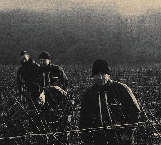 Travail de la vigne en équipe